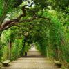 Отель Le stanze degli amidei, фото 24