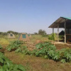 Отель WE4Kenya Guesthouses and Farm, фото 16