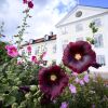 Отель Stjärnholms slott, фото 28