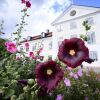 Отель Stjärnholms slott, фото 23