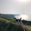 Отель B&B Ocean View, фото 10
