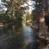 Отель Twin Elm Guest Ranch, фото 28