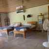 Отель Room in Lodge - Villa With Primary Forest View, фото 5