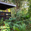 Отель Chachagua Rainforest Hotel & Hot Springs, фото 42
