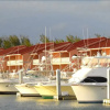 Отель Bimini Sands Resort & Marina, фото 15