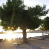 Отель Josip - Free Parking and BBQ - A1, фото 20