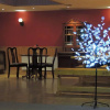 Отель Hostel Natales, фото 21