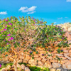 Отель Holiday Residence La Madonnina, фото 23