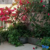 Отель Haijie Diary Homestay, фото 5