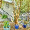 Отель Cozy Galveston Apartment w/ Private Beach Pass!, фото 1