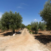 Отель Trulli Munno - Utnz in Castellana Grotte, фото 16