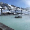 Отель Manza Onsen Nisshinkan, фото 16