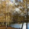 Отель Bilsons Landing West, фото 7