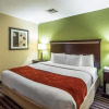 Отель Comfort Suites East / I-44, фото 4