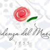 Отель Residenza del Maestro, фото 17