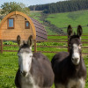 Отель Luxury Two-bed Glamping Pod in County Clare 2, фото 10