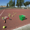Sports