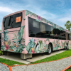 Отель The Bus Collective, фото 6