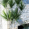 Отель Manoleas Villas - Apartment 5, фото 23