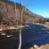 Отель Whiteface Farm Adirondack Bed and Breakfast, фото 1