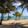 Отель Palm Cove Cabins, фото 20