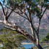 Отель Freycinet Haven, фото 4