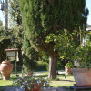 Отель Villa With Swimming Pool - air Conditioning - Siena - 10 People - Tuscany Crete, фото 16