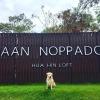 Отель Baan Noppadol Hua Hin Loft Resort by OYO, фото 8