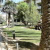 Отель Apartamentos Jardins del Mar, фото 46