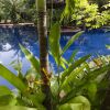 Отель Le Jardin d'Angkor Hotel, фото 27