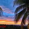 Отель 2-BR Modern Oceanfront Apt Steps from Playa Sucia, фото 8