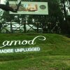 Отель Aamod Resort - Shoghi, фото 42