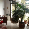 Отель La Posada de las Casitas, фото 13