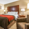 Отель Comfort Inn & Suites Denver, фото 5