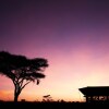 Отель Pumzika Classic Safari Camp, фото 10