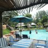 Отель Dugong Village-Green Hotel, фото 6
