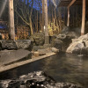 Отель Oigami Onsen Gorokaku, фото 4