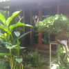 Отель Jembrana Bali Homestay, фото 13