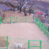 Отель Yeosu The Pogeun Pension, фото 16