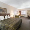 Отель Best Western Garden Inn & Suites, фото 28