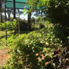 Отель Lguazu Apart Hostel, фото 1