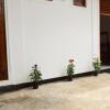 Отель 31 Kandy Guest House, фото 1