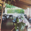 Отель Agriturismo La Betulla, фото 15