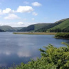 Отель St Marys Loch Bed and Breakfast, фото 7