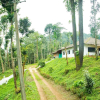 Отель Room in Cabin - The Nest Bettathur Coorg 005, фото 8