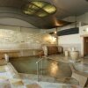 Отель Amanohashidate Hotel, фото 17