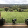 Отель Atina Rocks Country Homestead, фото 8