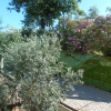 Отель On Holiday Between Sky And Sea Geco Di Campiglia pet Friendly big Garden, фото 20