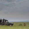 Отель Kicheche Mara Camp, фото 16