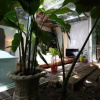 Отель Chamonix Home Stay, фото 33